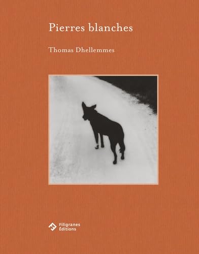 Pierres blanches de Thomas Dhellemmes