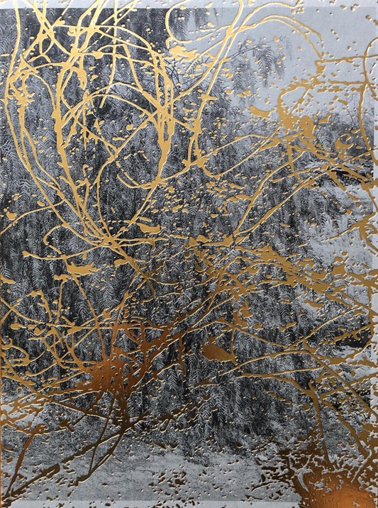 Providencia de Daniel Reuter