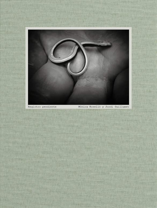 Registro pendiente de Mònica Rosellò et Jordi Guillumet