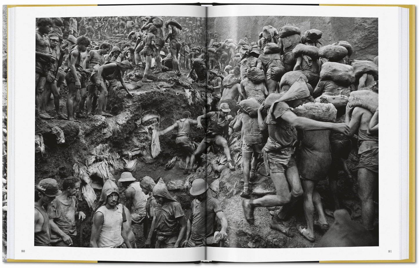 GOLD - S. Salgado