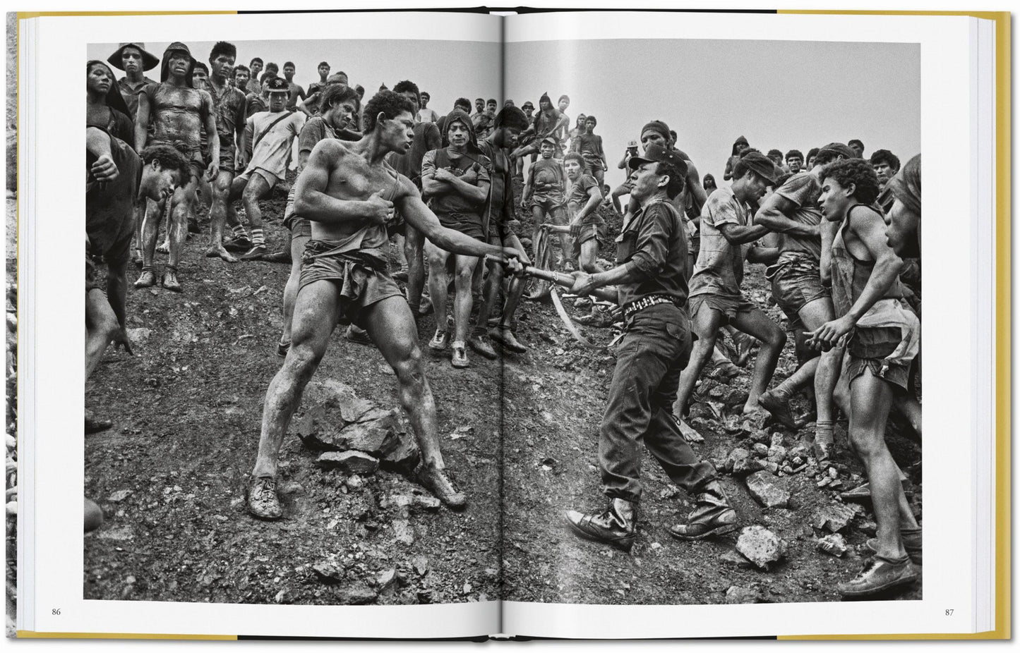 GOLD - S. Salgado