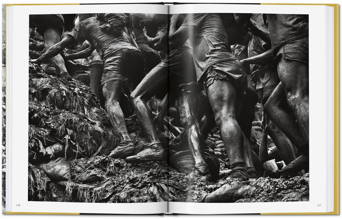 GOLD - S. Salgado