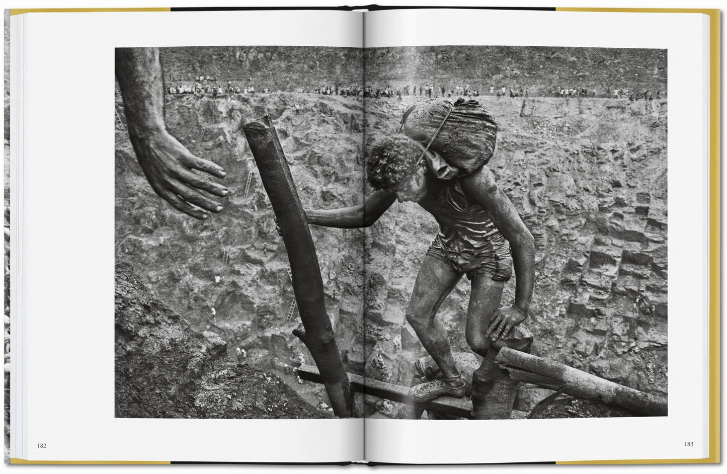 GOLD - S. Salgado