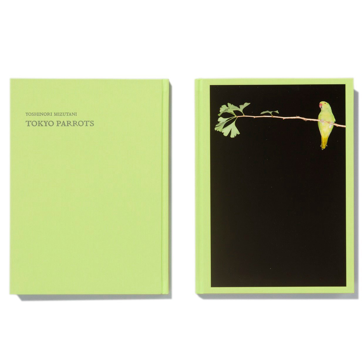 Tokyo Parrots de Yoshinori Mizutani