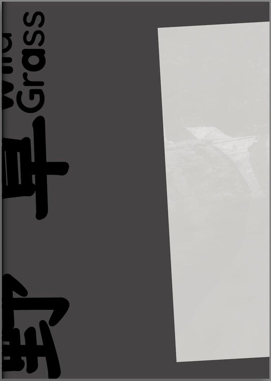 Wild Grass : Phantoms of the Republic by JT